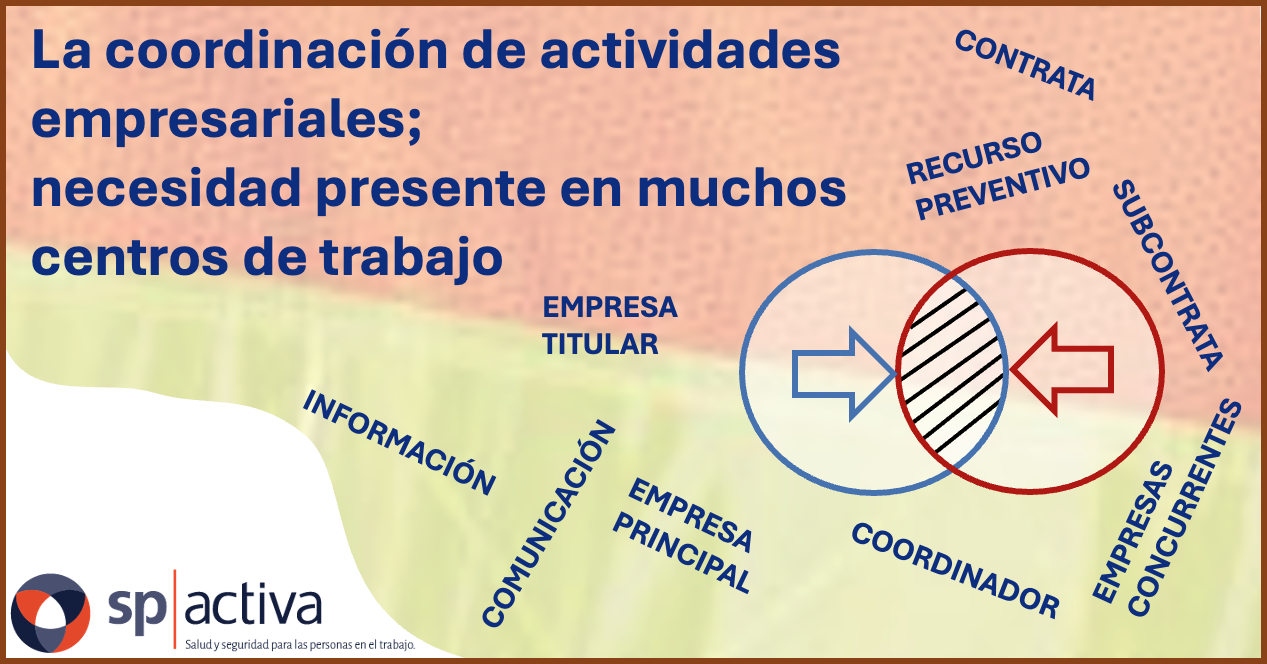 La CAE y sus herramientas