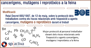 Agents reprotòxics Modificació del Reial decret 665/1997