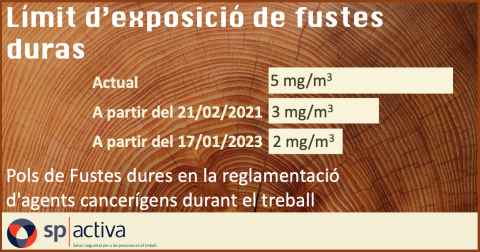 Polvo de Maderas duras en la reglamentación de agentes cancerígenos durante el trabajo